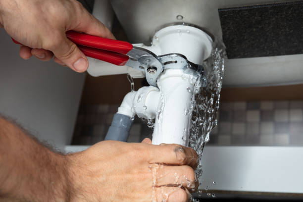 Best Flood damage cleanup  in Union City, MI