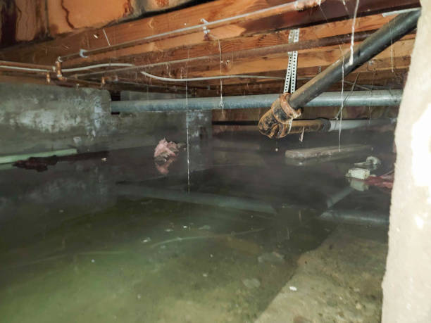 Best Emergency water damage restoration  in Union City, MI