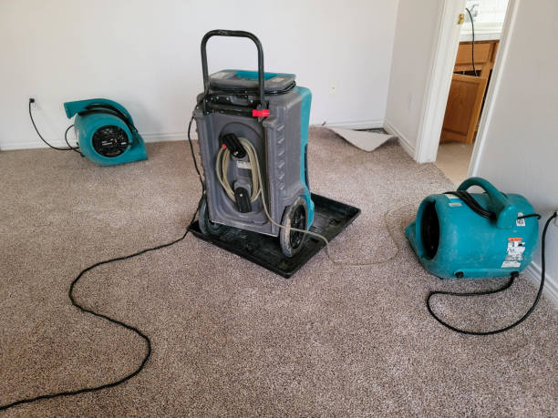 Best Professional water damage repair  in Union City, MI