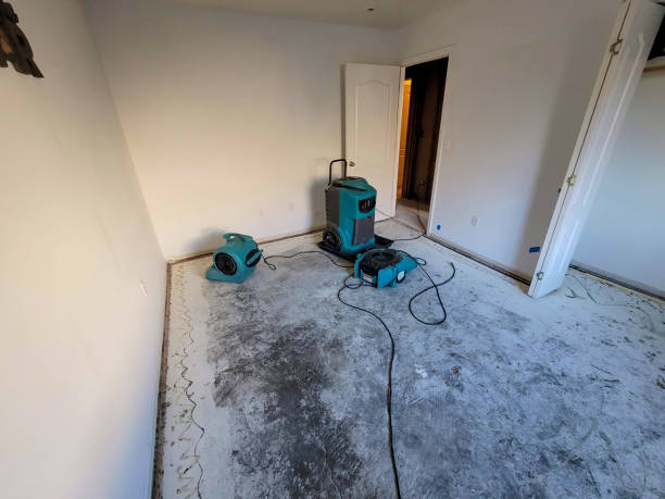 Best Flood restoration services  in Union City, MI