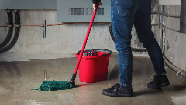 Best Fire Damage Restoration  in Union City, MI