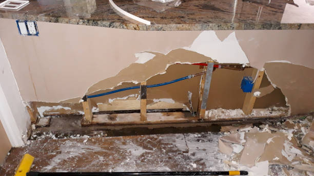 Best Water damage restoration near me  in Union City, MI