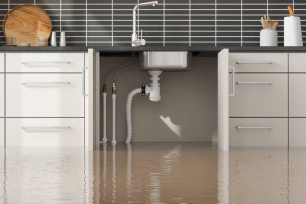 Best Water damage restoration cost  in Union City, MI